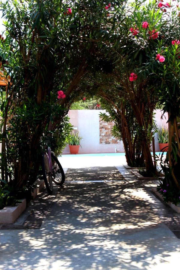 Norrol Apartments Aruba Oranjestad Exterior photo