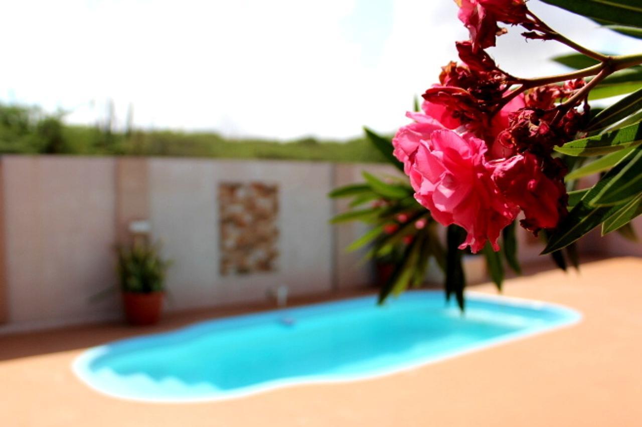 Norrol Apartments Aruba Oranjestad Exterior photo